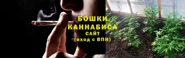 гашик Белокуриха
