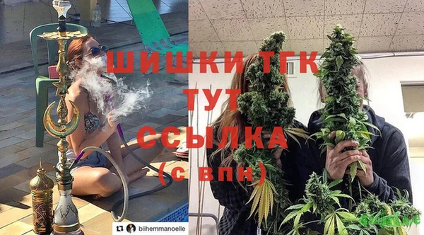 гашик Белокуриха