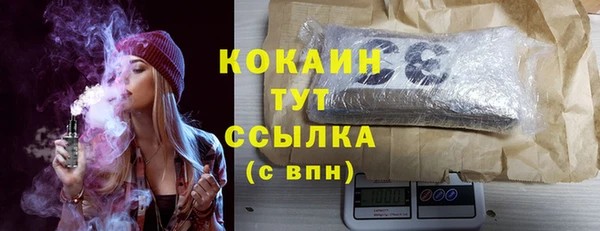 гашик Белокуриха