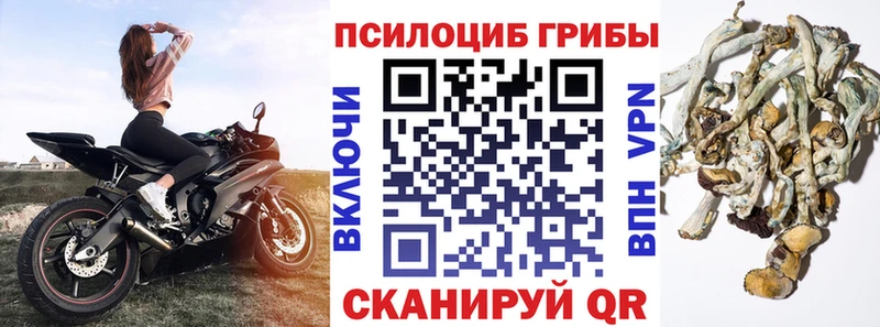Галлюциногенные грибы мухоморы  Горнозаводск 